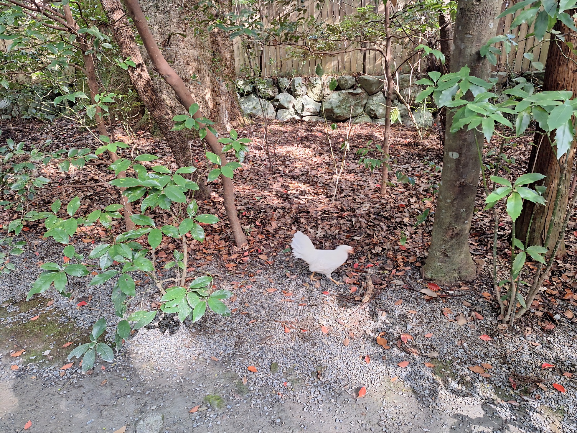 外宮正宮帰り道にて