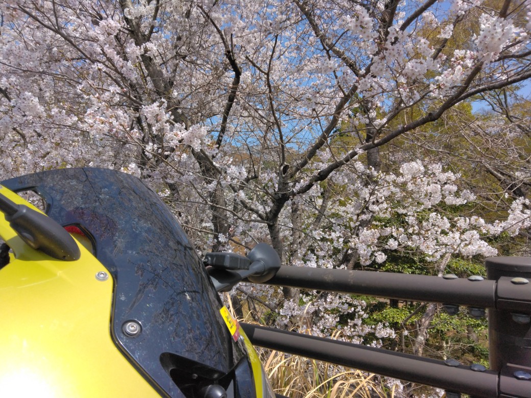 今年も、のんびり行きます。