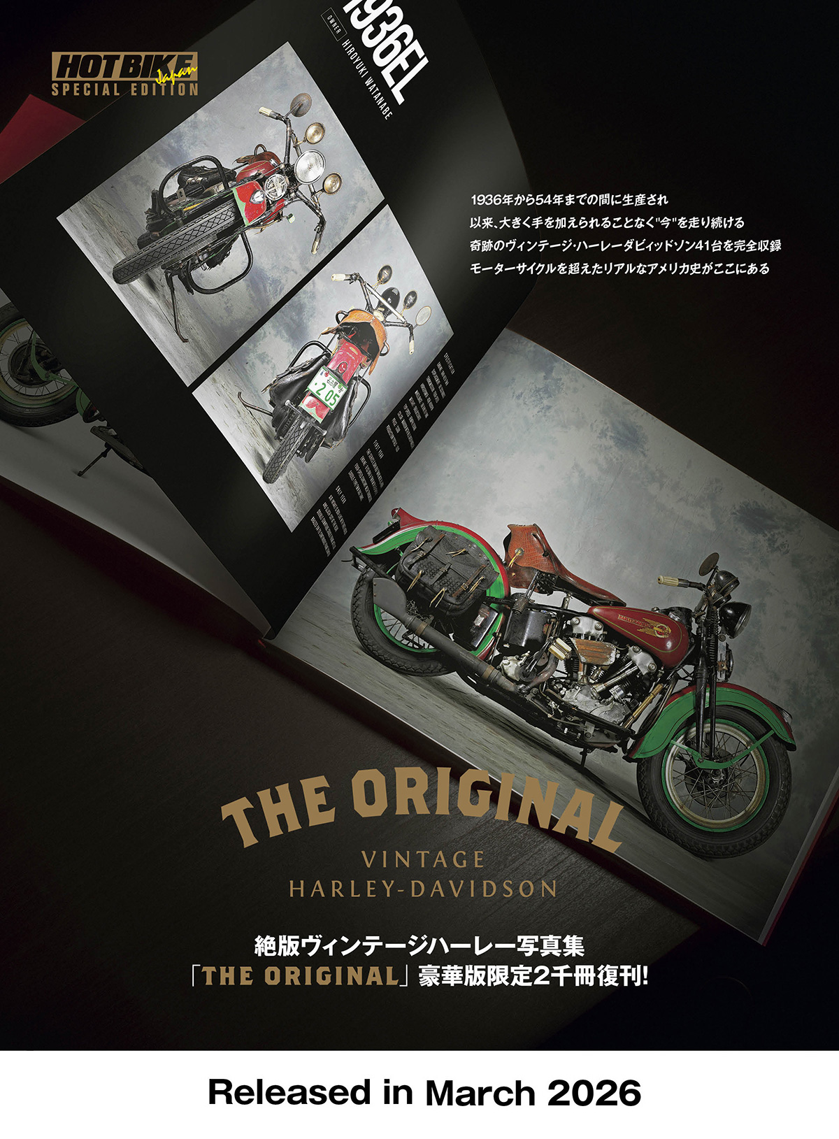 The Original VINTAGE HARLEY-DAVIDSON